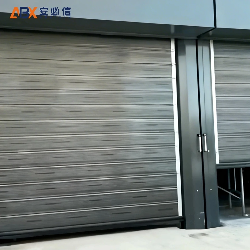 阿拉善感应高速门